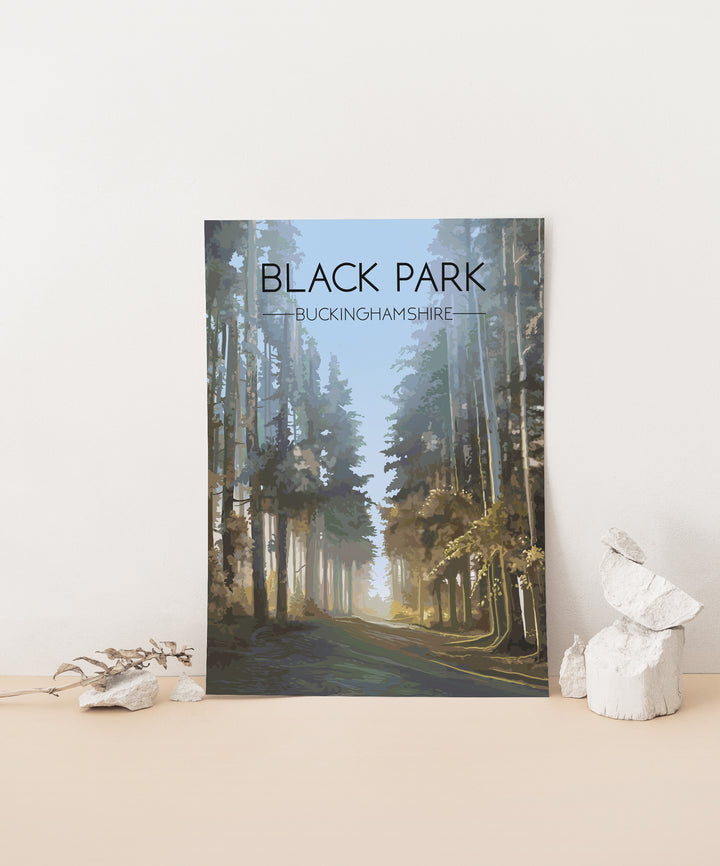 Black Park Buckinghamshire Travel Poster