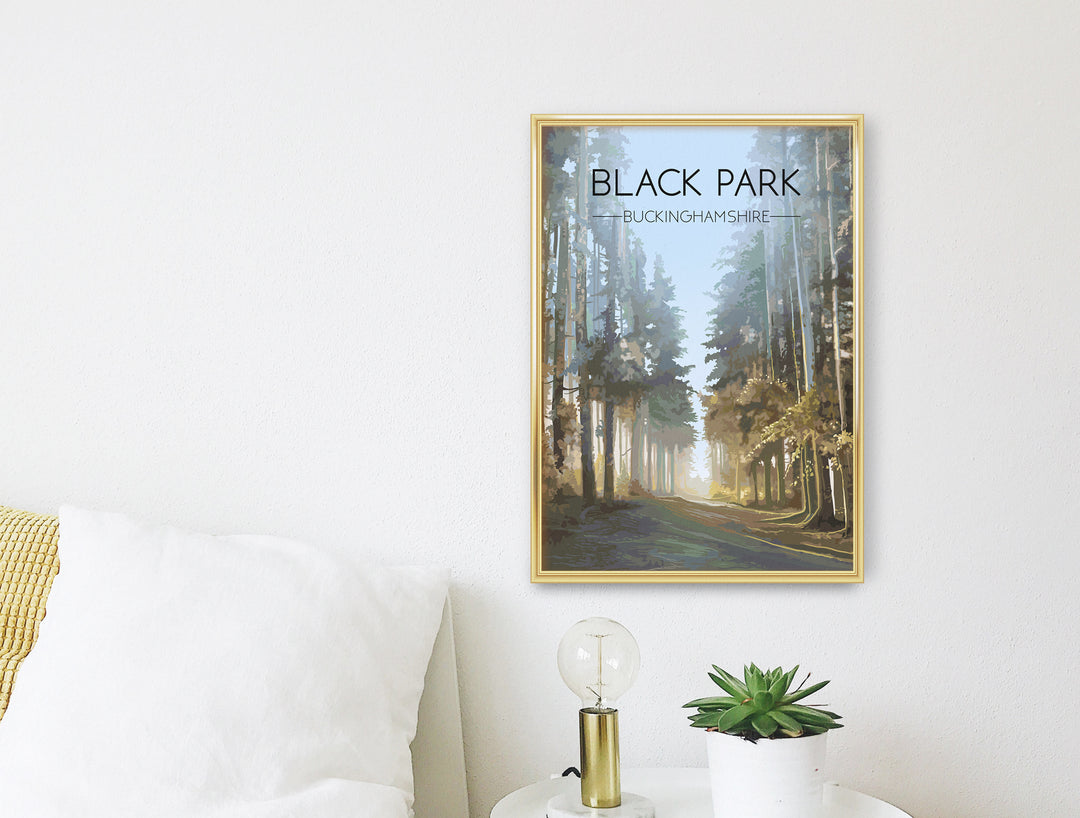 Black Park Buckinghamshire Travel Poster