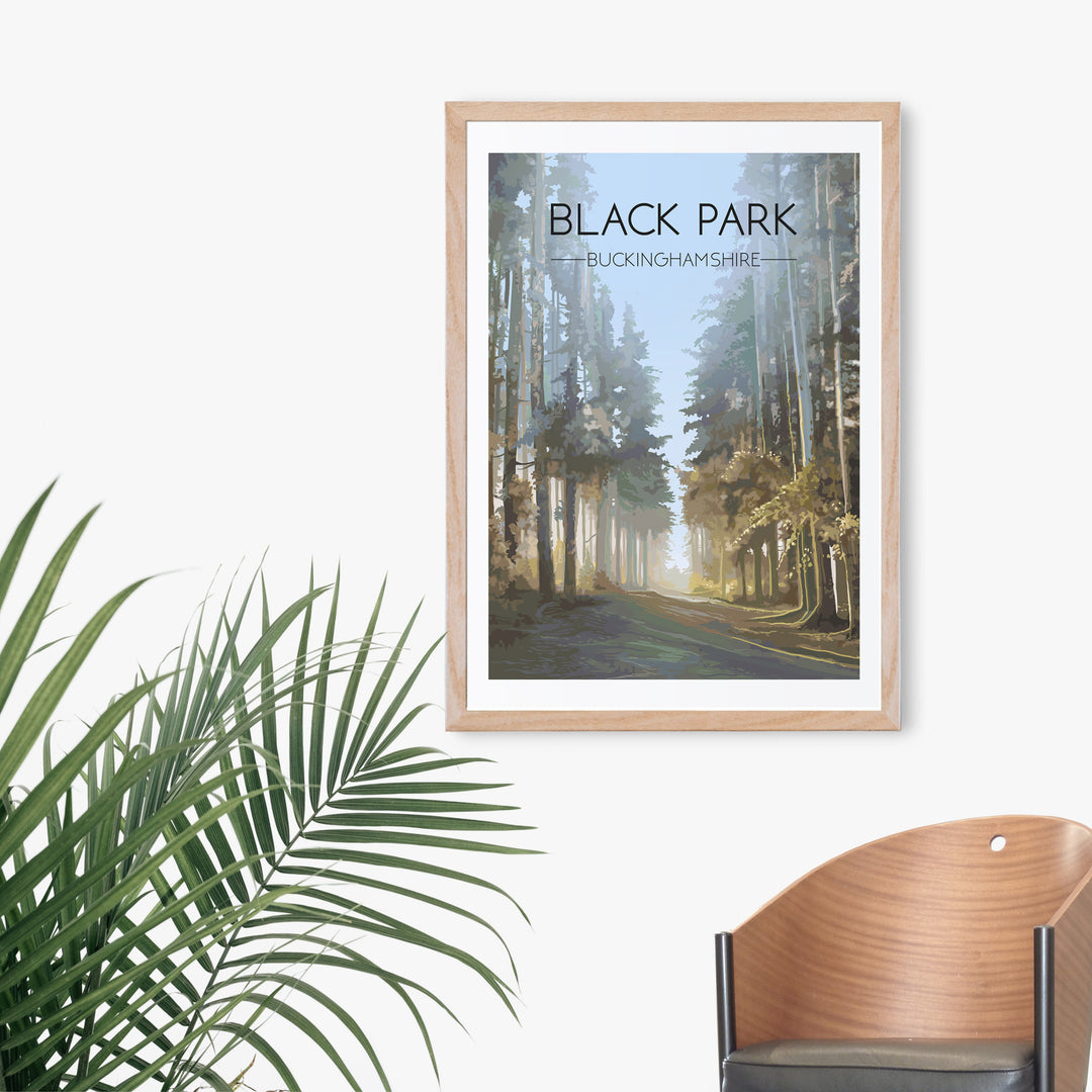 Black Park Buckinghamshire Travel Poster