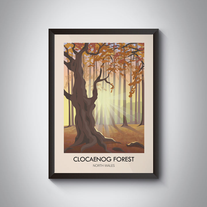 Clocaenog Forest North Wales Travel Poster