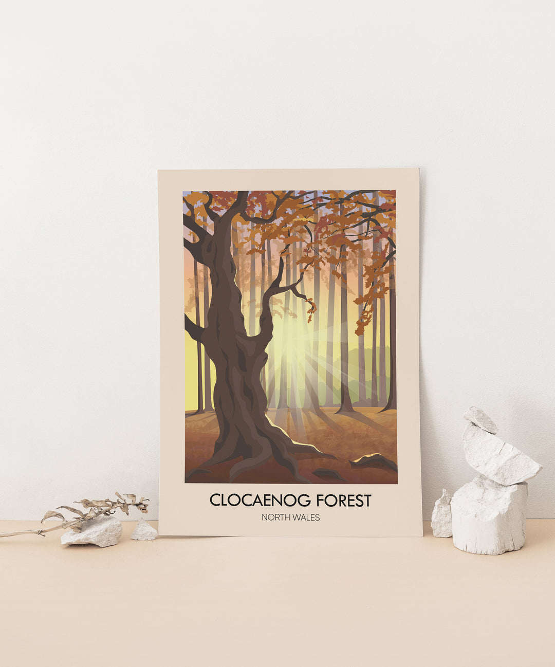 Clocaenog Forest North Wales Travel Poster