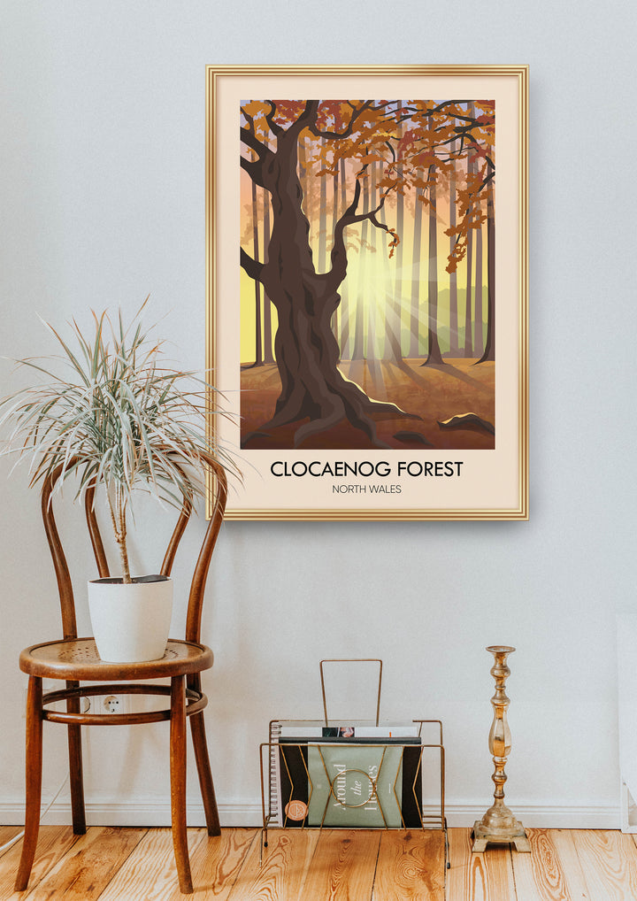 Clocaenog Forest North Wales Travel Poster