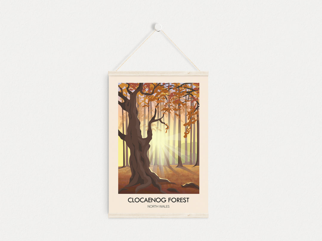 Clocaenog Forest North Wales Travel Poster