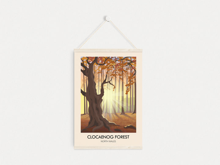 Clocaenog Forest North Wales Travel Poster